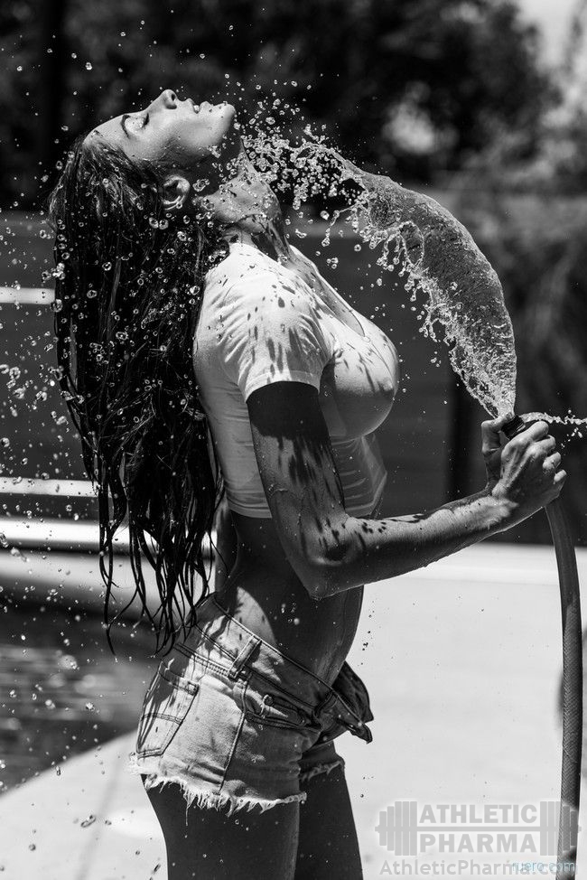 gallery_4913_2_101860.jpg