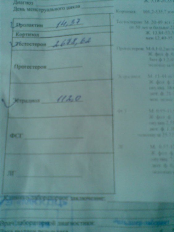 20092018(001).jpg