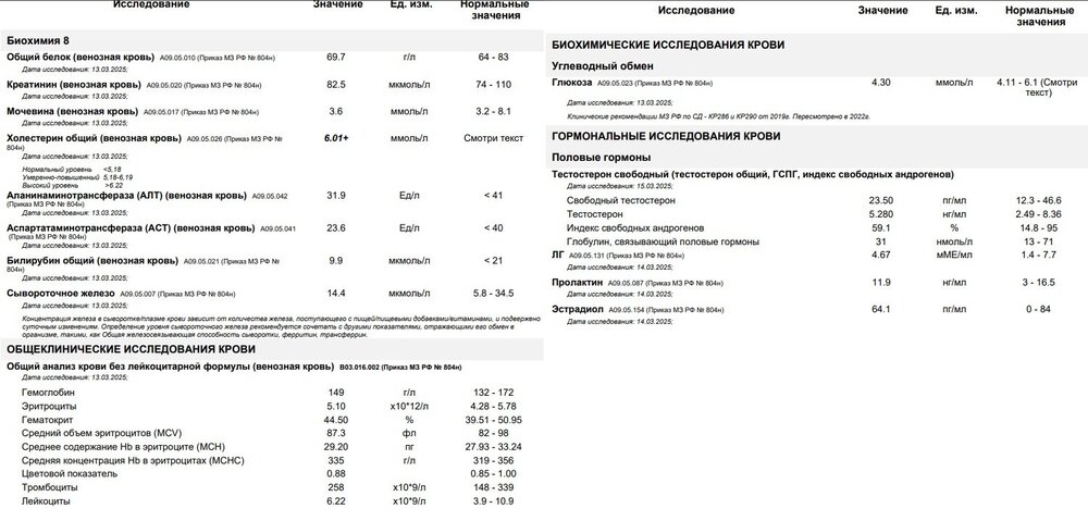 До курса.jpg